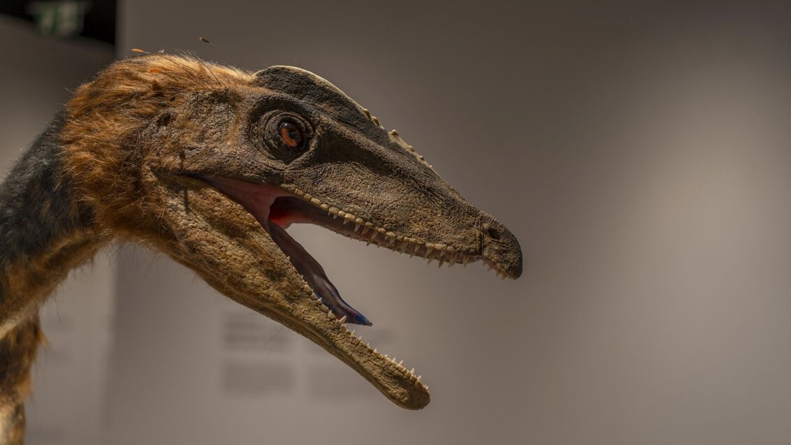 Image of a real-like model of a dinosaur