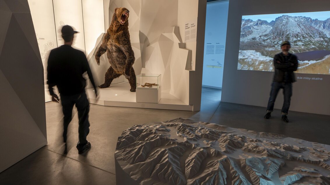 Image of a modern exhibition, two people looking at exhibits, a real-life bear, a video displayed on a wall, and a model of the Tatra Mountains