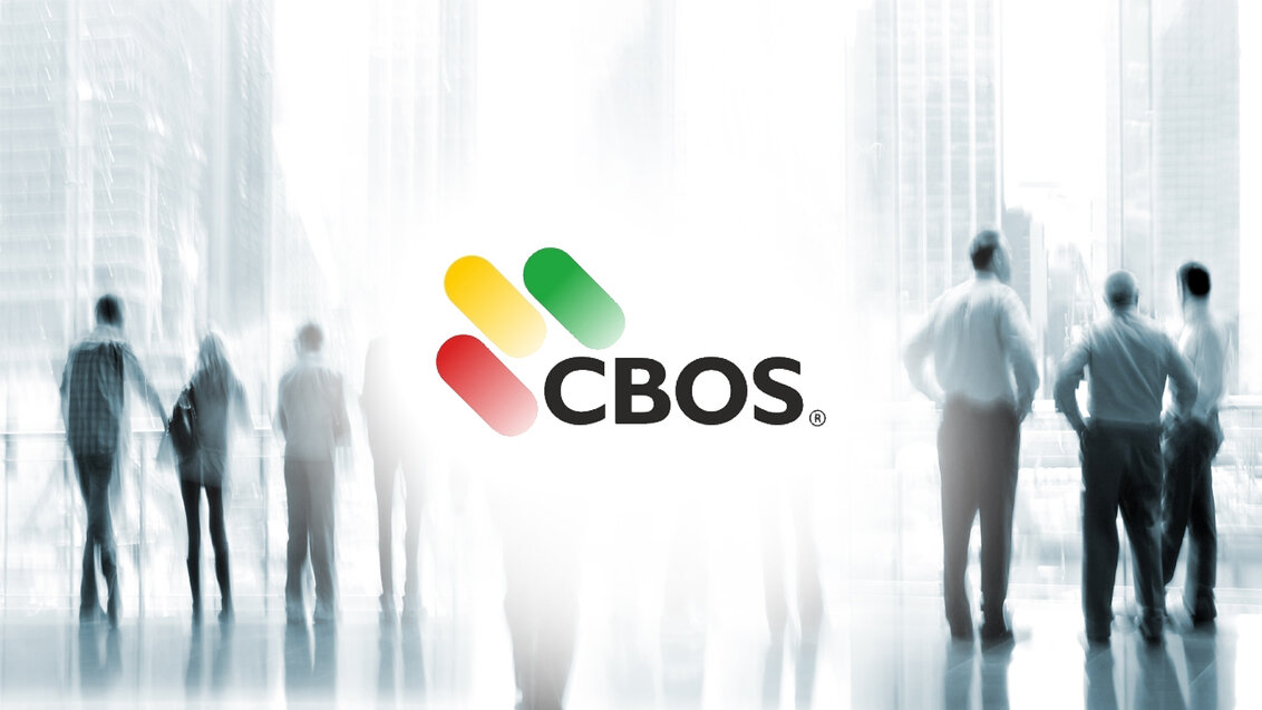 Image of a group of irrecognisable people standing outside overlooking the city skyline, in the middle there is a logo of CBOS with three stripes - green, yellow, and red.